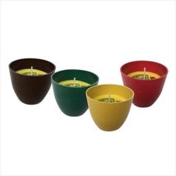 Citronella en biotop curvo D 6,5 cm.