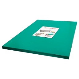 Tabla Nylon 60x40x2 cm Verde