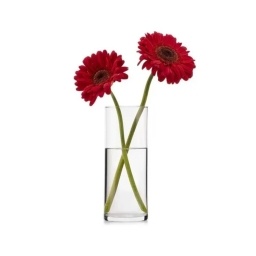 Florero Cilndrico Vidrio 9x25 cm Chipinque Selecta